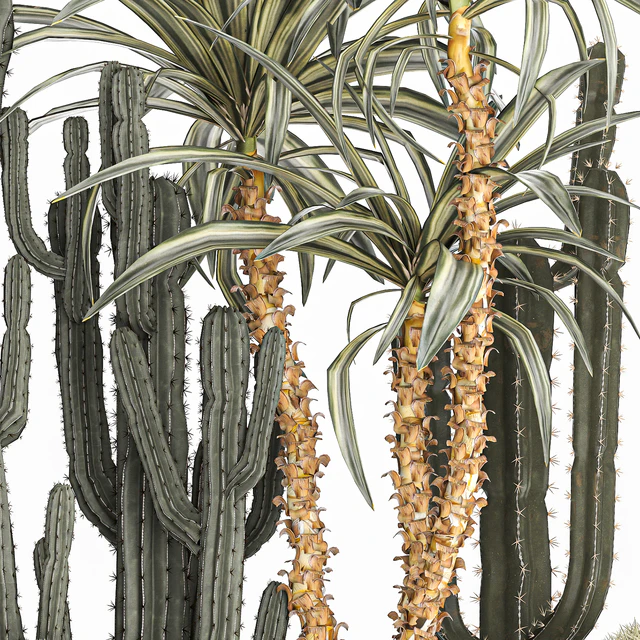 Collection of desert plants in a vase of cacti, prickly pear, Dracaena, carnegie, echinocactus, garden. Set 1096. — Descargar