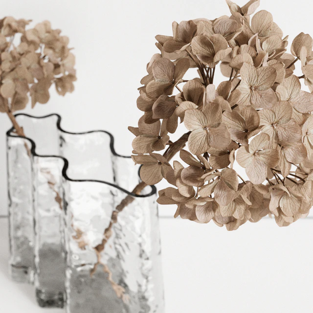 Decorative Set with dry Hydrangea — Скачать
