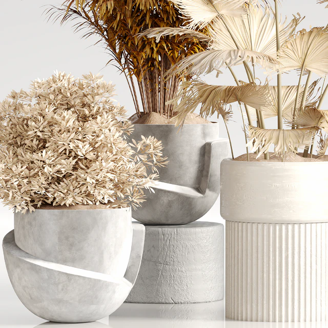Indoor Plant Set 35 Dry Plants — Скачать