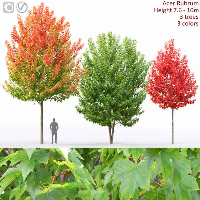 Acer — Descargar