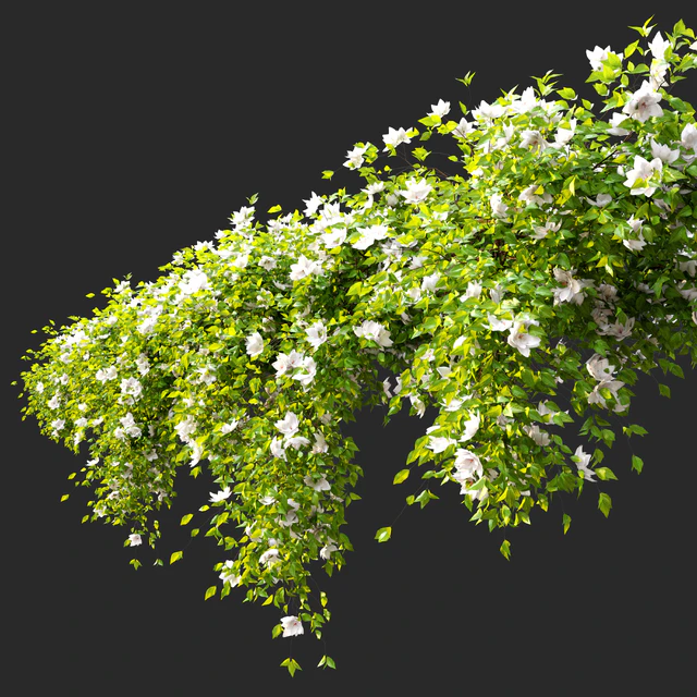 Hanging Plant 15 — Descargar