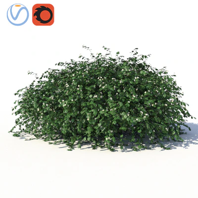 Chubushnik (jasmine) with lying on the ground branches and leaves — Ver 1