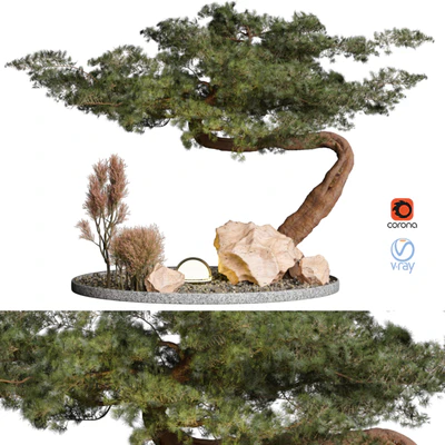 Outdoor Plant 69 — скачать