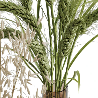 Dry plant set 02 — Ver 2