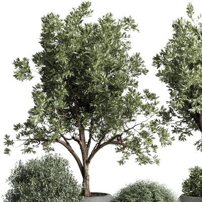 Collection indoor outdoor plant 120 plant tree grass vase dirty concrete — Ver 3