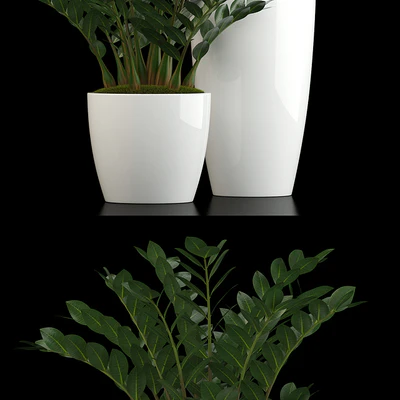 Plants collection 56 — Вид 2