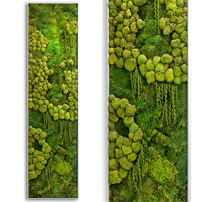 panel jungle — Вид 1