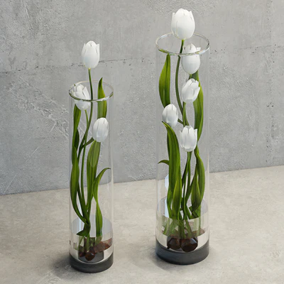 Tulips — Ver 2