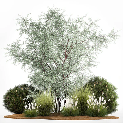 Alpine hill with olive bushes, pine, reeds, feather grass, Elaeagnus commutata. Plant set 1189 — скачать