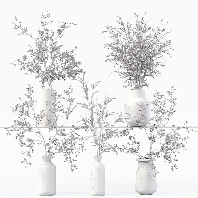 Collection Indoor Plants 016 — Descargar
