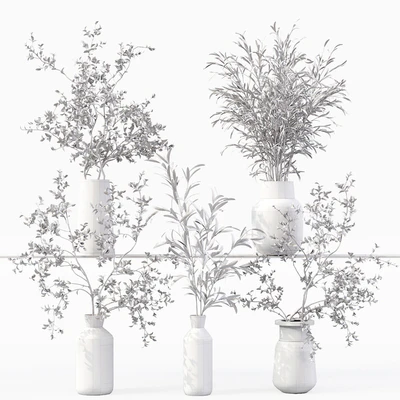 Collection Indoor Plants 016 — Ver 2