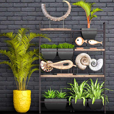 Decorative set. 1. Black brickwork, tusk, horn, palm tree, ammonite, figurine, assplenium, loft, shelf with decor, rack — Ver 1