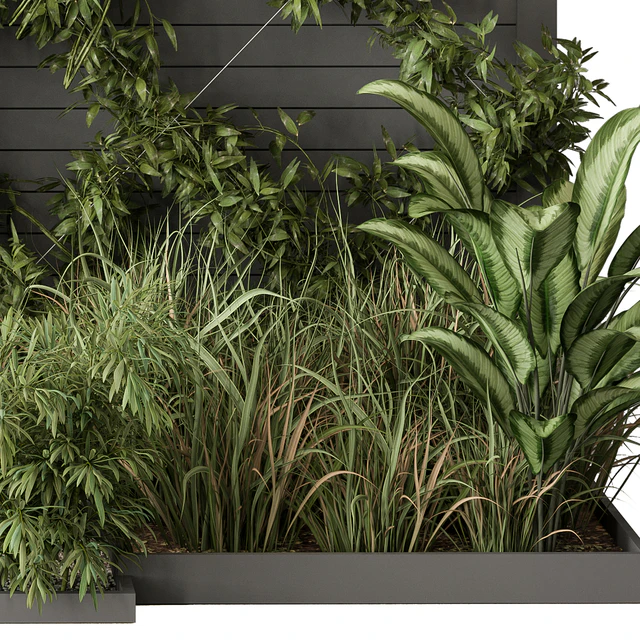 Outdoor Plant Set 429- Ivy on Wall — Descargar