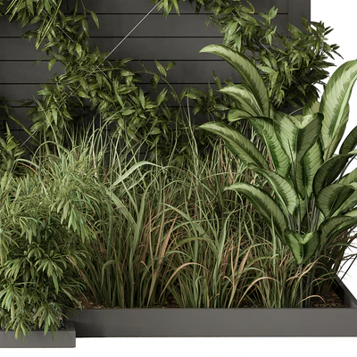 Outdoor Plant Set 429- Ivy on Wall — Ver 2