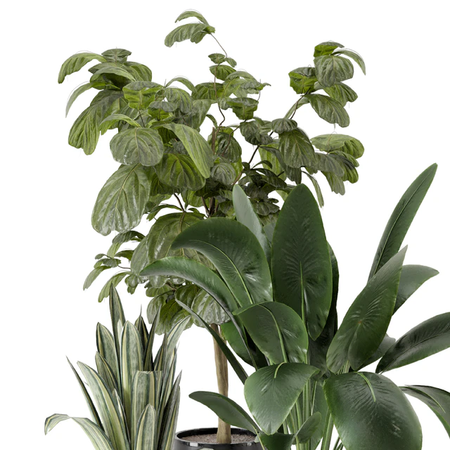 Indoor Plants in Ferm Living Bau Pot Large - Set 1044 — Descargar
