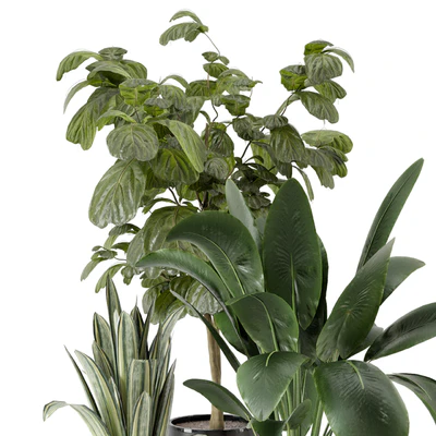 Indoor Plants in Ferm Living Bau Pot Large - Set 1044 — Ver 2