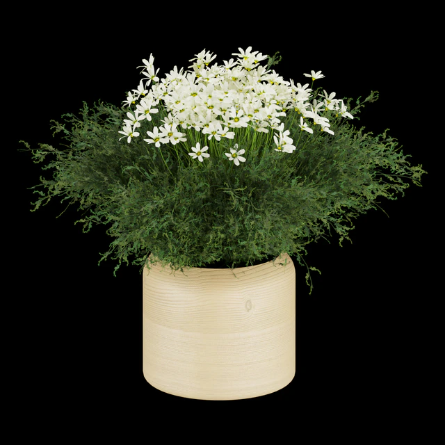 Collection plant vol 262 — Скачать