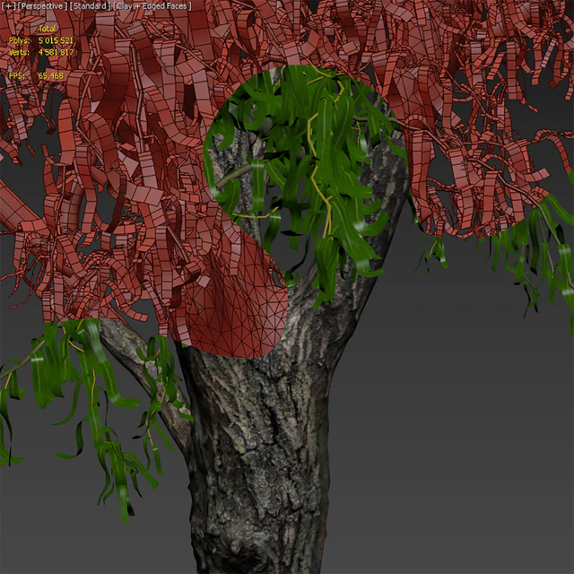 Willow / Salix matsudana #2 — Download