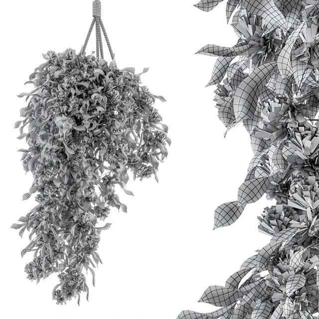 Hanging box plant - Set 154 — Descargar