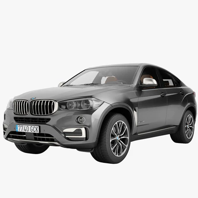 BMW X6 xDrive50i — Вид 1
