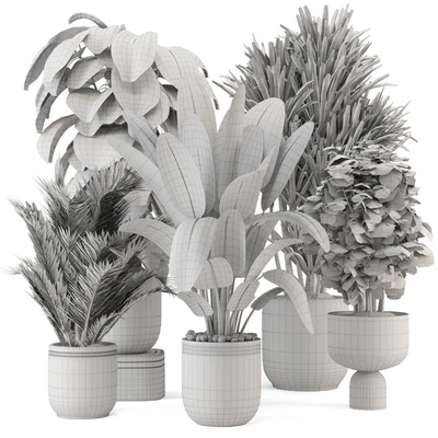 Indoor Plants  in rusty Concrete Pot - Set 1331 — Вид 3