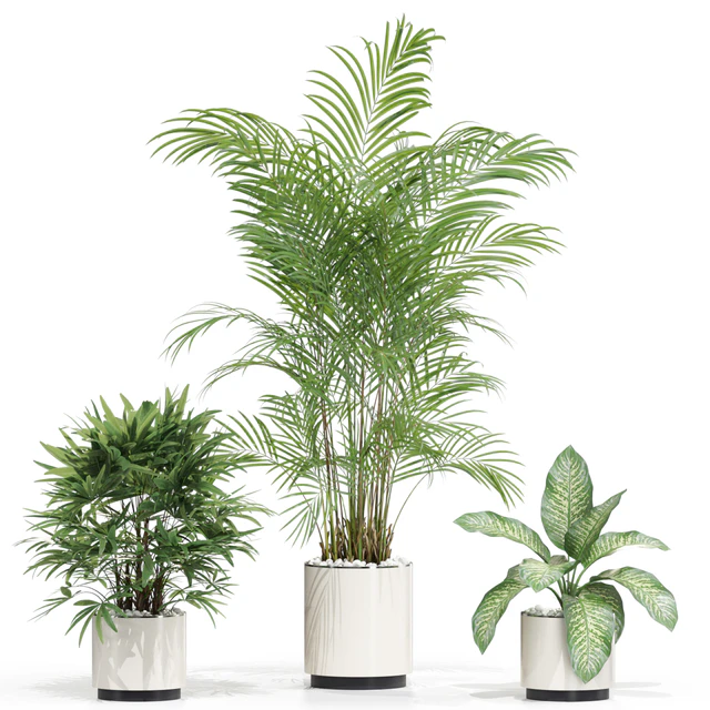 Plants collection 600 — Descargar