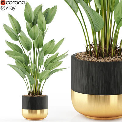 Plants collection 493 — Ver 1