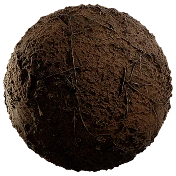 dried scarce grass 005 — Скачать