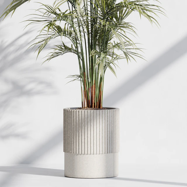 indoor plant set 76 — Descargar