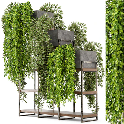 Indoor Plants in rusty Concrete Pot on Metal Shelf  - Set 53 — Вид 2