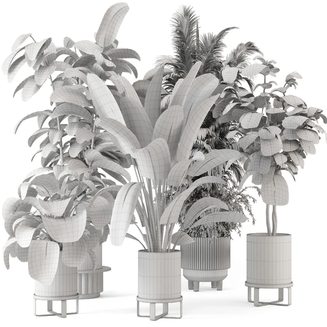 Indoor Plants in Ferm Living Bau Pot Large - Set 734 — Descargar