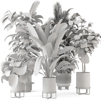 Indoor Plants in Ferm Living Bau Pot Large - Set 734 — Ver 3