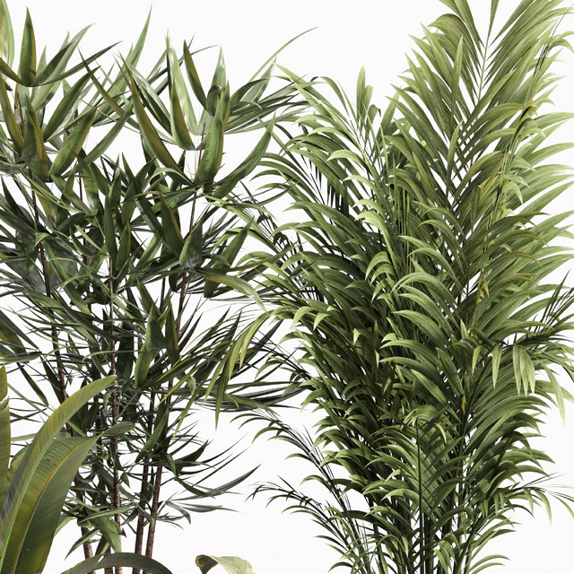 Indoor Plant Set 031 — Скачать