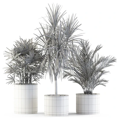 Plants collection 550 — Вид 2