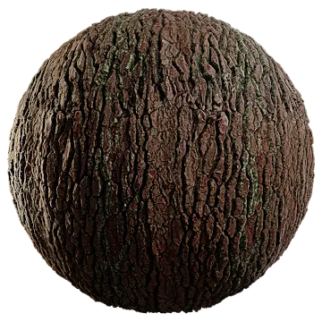 maritime pine bark 002 — Descargar