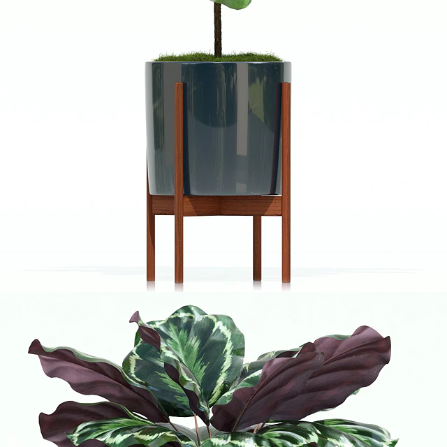 Plants collection 69 Modernica pots — Descargar