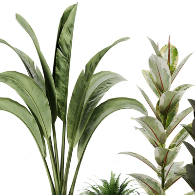 indoor plant Set 12 — Вид 2