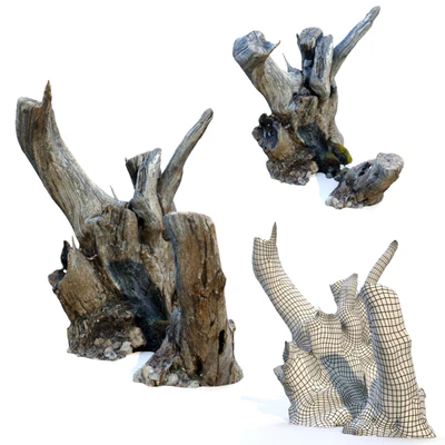 Tree stump  pack 2 — View 2