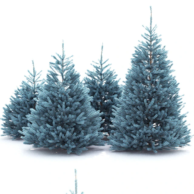 Spruce — Скачать