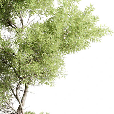 Collection outdoor indoor 85 pot plant & tree & bush — Ver 2