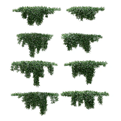Creeper - Clematis Glycinoides - 8 Modular Pieces — Ver 2
