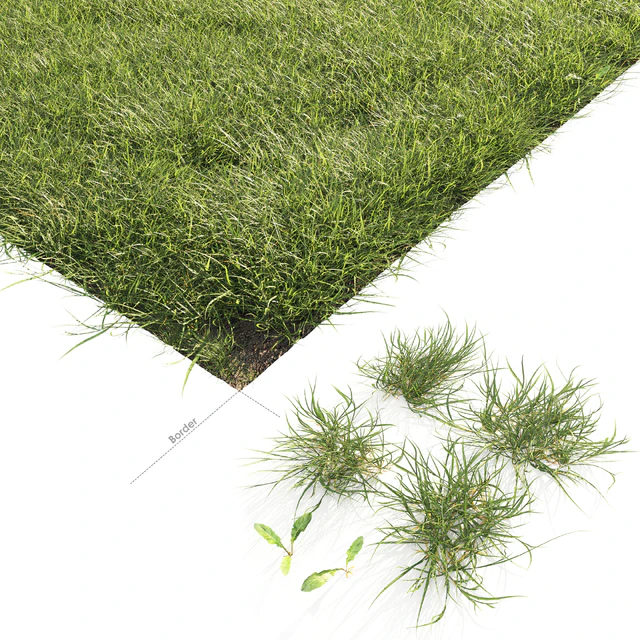 Lawn Grass 01 — Descargar
