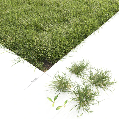 Lawn Grass 01 — Ver 3