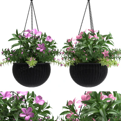 HANGING BASKET — Вид 1