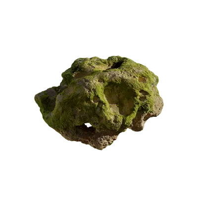 thai beach coral 003 — Скачать
