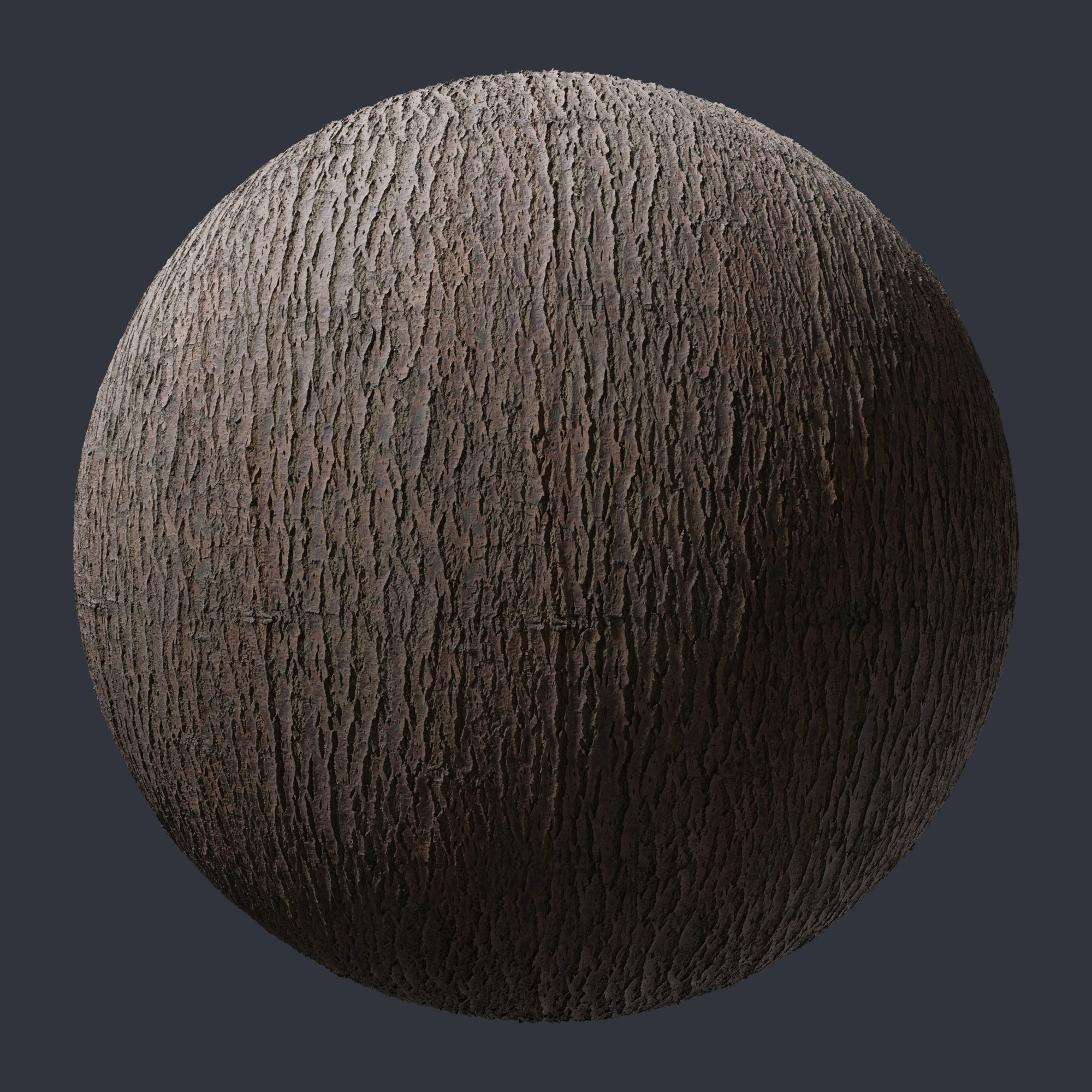 willow tree bark — Download