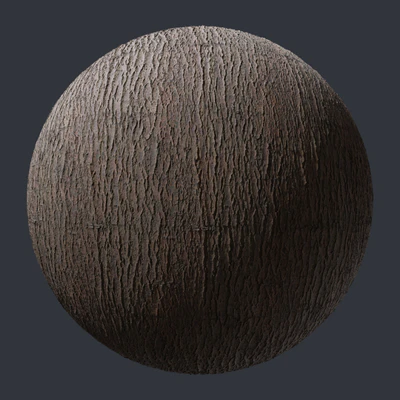 willow tree bark — download