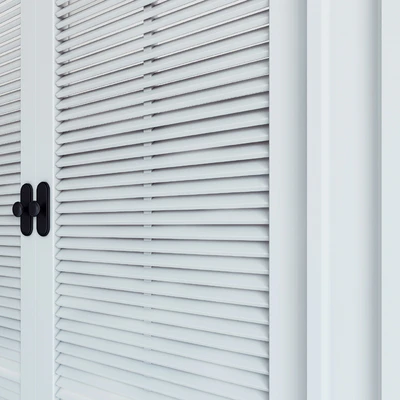 Built-in wardrobe 08 \ fitted wardrobe 08 — Ver 2