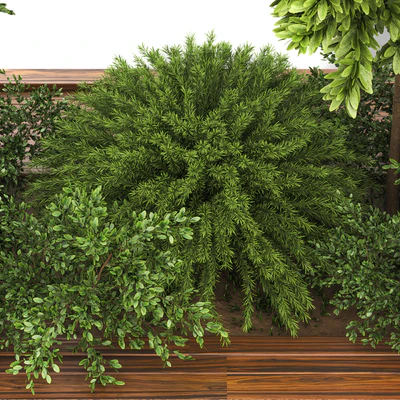 Garden set bush and Tree Set01 — Ver 2