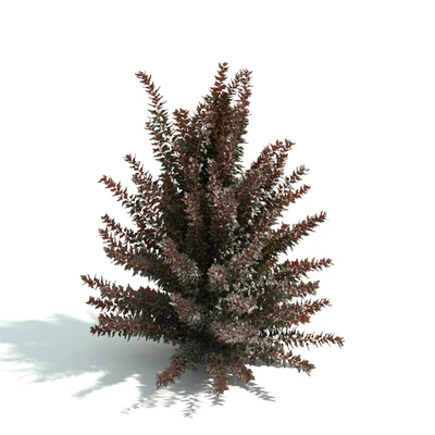 hedges 041 — Descargar